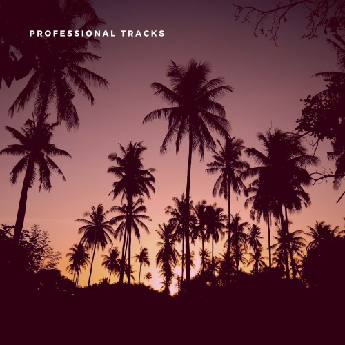 Professional Tracks
