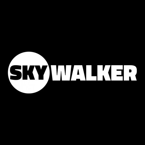 Skywalkermusicaus track ghost producer