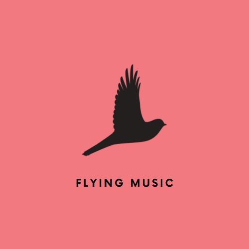Flying Music beat ghost producer