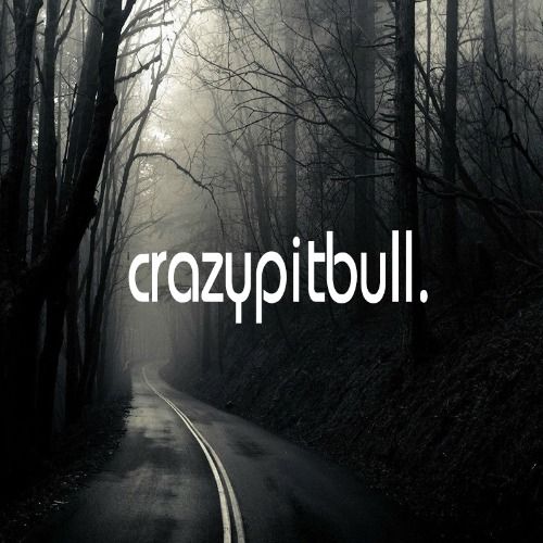 CrazyPitbull track ghost producer