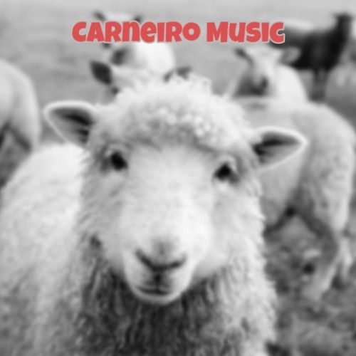 Carneiromusic track ghost producer